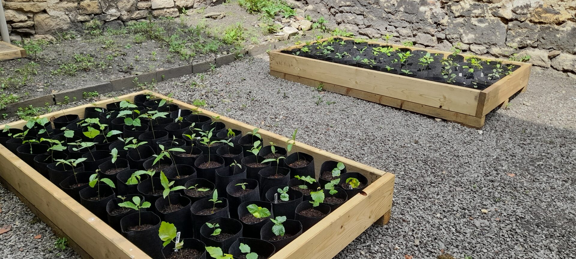 Bath Building Society More Trees BANES